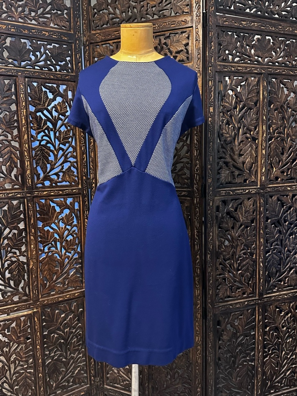 Gianni Bini Blue Knee Length Dress with Blue & White Contrast Panels